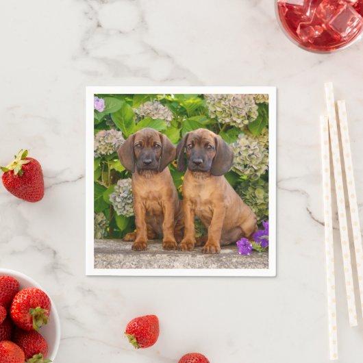 Cute Bavarian Mountain Hound Puppies met bloemen Servet (Insitu)