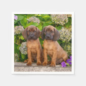 Cute Bavarian Mountain Hound Puppies met bloemen Servet (Voorkant)
