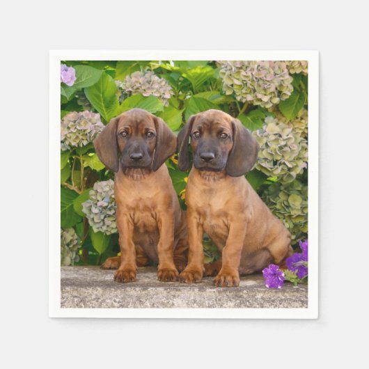 Cute Bavarian Mountain Hound Puppies met bloemen Servet (Voorkant)