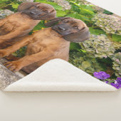 Cute Bavarian Mountain Hound Puppies met bloemen Sherpa Deken (3/4)