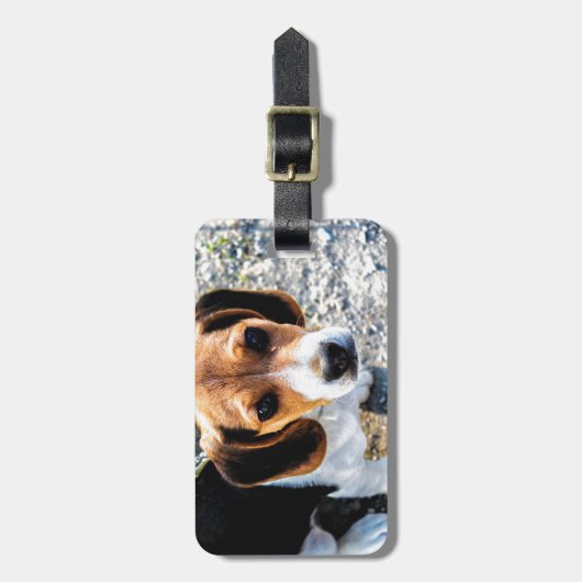 Cute Beagle Bagagelabel (Voorkant verticaal)