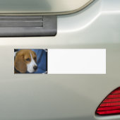 Cute Beagle Bumpersticker (Op auto)