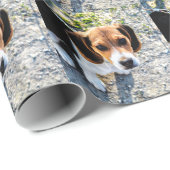 Cute Beagle Cadeaupapier (Rol Hoek)