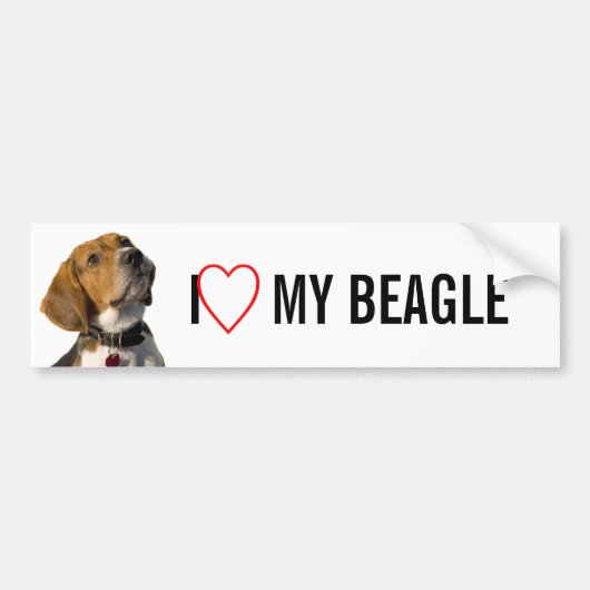 Cute Beagle Dog Bumpersticker (Voorkant)