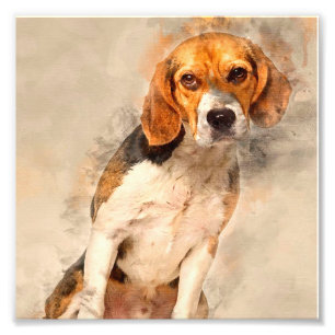 Cute Beagle dog Gift Beste ontkleuring van diere Foto Afdruk