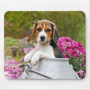 Cute Beagle Dog Puppy in een Melkhuis - Muismat