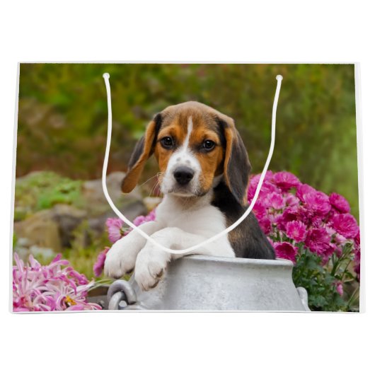 Cute Beagle Dog Puppy in een melkkoker - Wrapbag Large Cadeautasje (Voorkant)