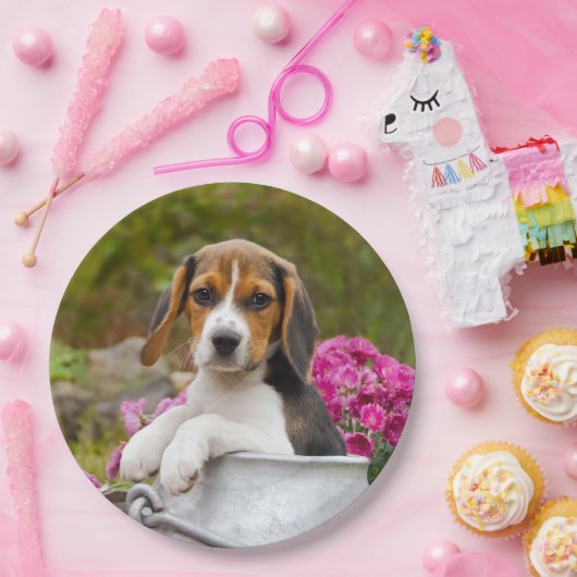 Cute Beagle Dog Puppy in Milk Churn Happy Party Papieren Bordje (Feest)