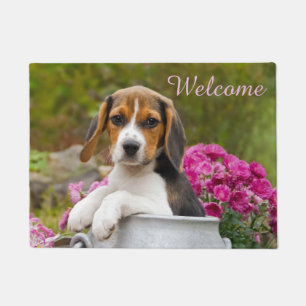 Cute Beagle Dog Puppy in Milk Churn - Welkom Deurmat