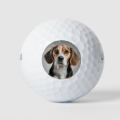Cute Beagle Golfballen (Voorkant)
