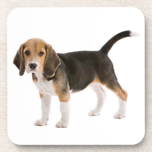Cute Beagle Mam Hondenliefhebber Puppy Dad Pup Ado Bier Onderzetter (Voorkant)