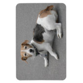 Cute Beagle Mongrel Magneet (Verticaal)
