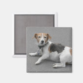 Cute Beagle Mongrel Magneet (Voorkant / Achterkant)