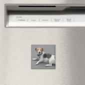 Cute Beagle Mongrel Magneet (Insitu (Vaatwasser))