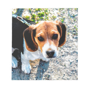 Cute Beagle Notitieblok