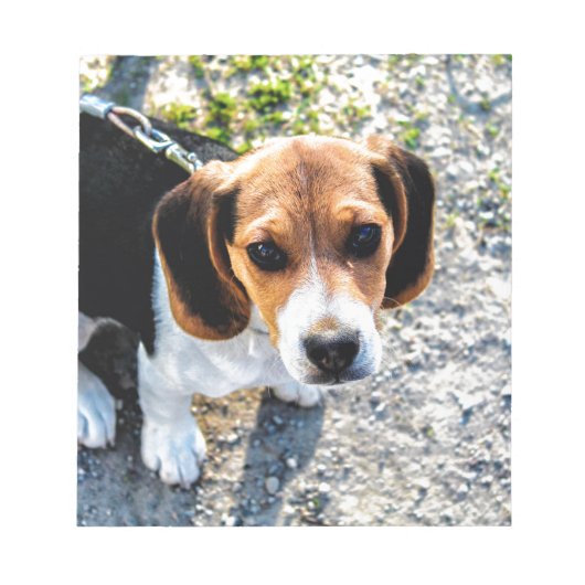 Cute Beagle Notitieblok (Voorkant)