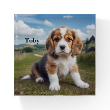 Cute Beagle Personalized Paperweight
