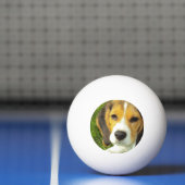 Cute Beagle Pingpongbal (Net)