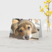 Cute Beagle Puppy Birthday Kaart (Gele Bloem)