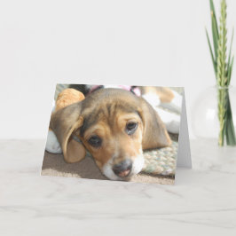Cute Beagle Puppy Birthday Kaart