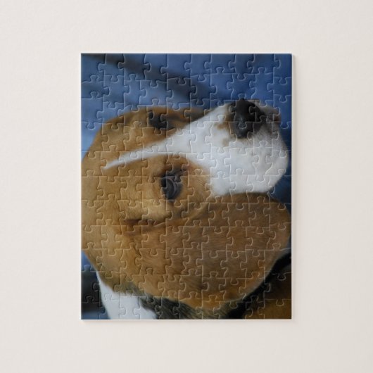 Cute Beagle Puzzle Legpuzzel (Verticaal)