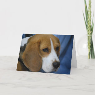 Cute Beagle Wenskaarten Kaart
