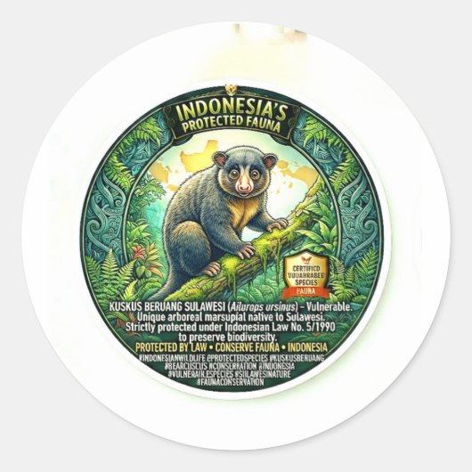 Cute Bear Cuscus Kunst - Zeldzame Sulawesi Buideld Ronde Sticker (Voorkant)