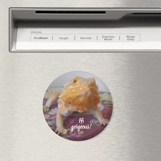 Cute Bearded Dragon Afbeelding Magneet (Insitu (Vaatwasser))