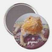 Cute Bearded Dragon Afbeelding Magneet (Voorkant / Achterkant)