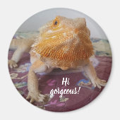 Cute Bearded Dragon Afbeelding Magneet (Voorkant)