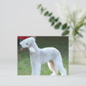 Cute Bedlington Terrier Briefkaart (Staand voorkant)