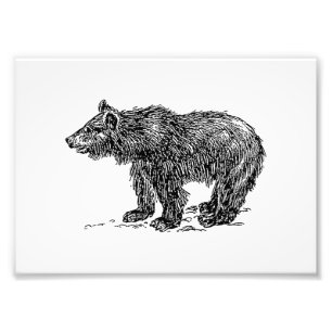 Cute Beer Cub Foto Afdruk