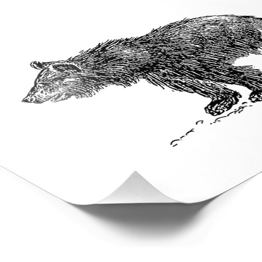 Cute Beer Cub Foto Afdruk (Hoek)