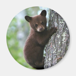 Cute Beer Cub Round Fridge Magnet