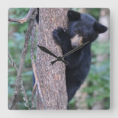 Cute Beer Cub Tree of Your Ewn Photo Square Wall C Vierkante Klok (Voorkant)