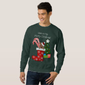Cute Beer in kerststaart, Ugly Sweater (Voorkant volledig)