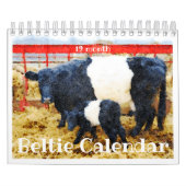 Cute Belted Galloway Beltie Striped Koe Calendar Kalender (Hoes)