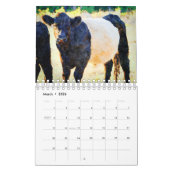 Cute Belted Galloway Beltie Striped Koe Calendar Kalender (Mar 2026)