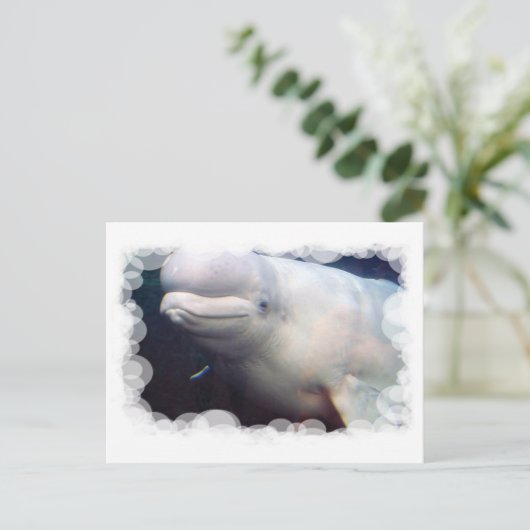 Cute Beluga Whale Briefkaart (Staand voorkant)