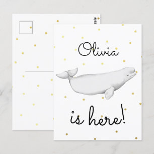 Cute Beluga Whale Newborn Baby Aankondiging Briefkaart