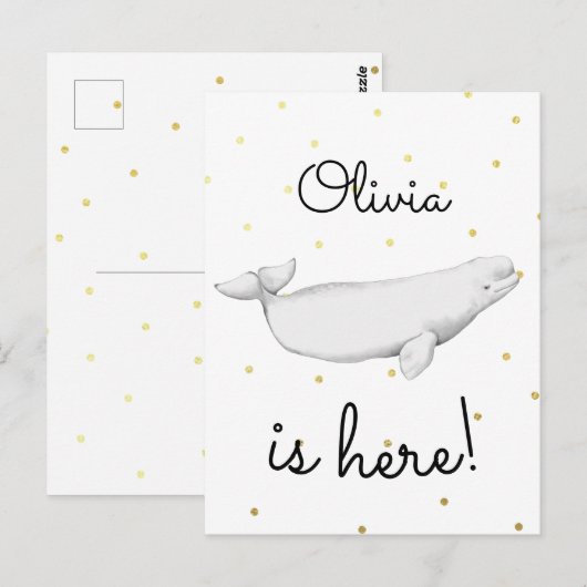 Cute Beluga Whale Newborn Baby Aankondiging Briefkaart (Voorkant / Achterkant)