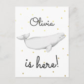 Cute Beluga Whale Newborn Baby Aankondiging Briefkaart (Voorkant)