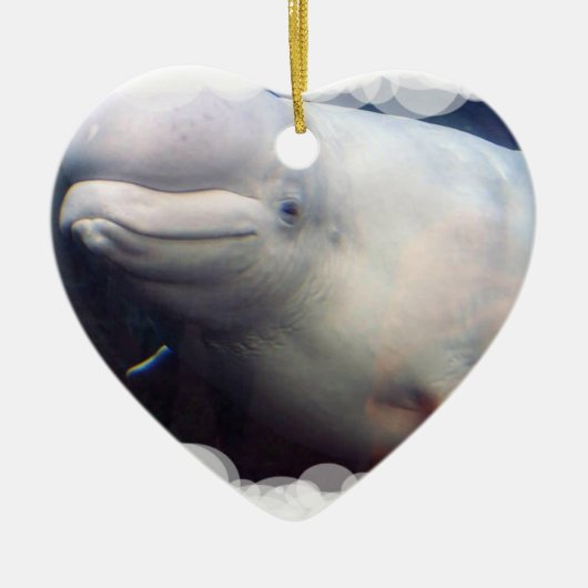 Cute Beluga Whale Ornament (Voorkant)