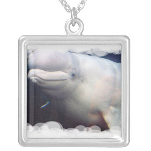 Cute Beluga Whale Sterling Silver Ketting