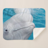 Cute Beluga Whale Zee Animal Sherpa Deken (Voorkant (horizontaal))