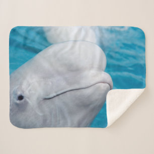 Cute Beluga Whale Zee Animal Sherpa Deken