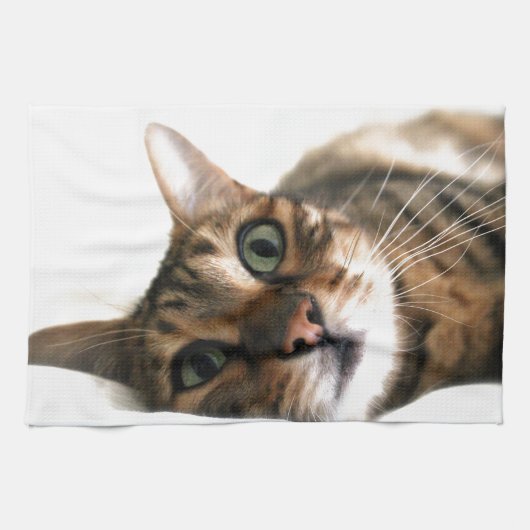 Cute Bengal Cat in Bed Afbeelding Theedoek (Horizontaal)