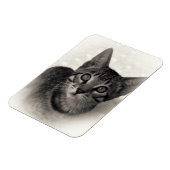 Cute Bengal Kitten Magneet (Linkerzijde)