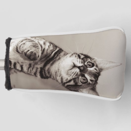 Cute Bengal Kitten Photo Golfheadcover (Voorkant)