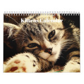 Cute Bengal Kittens 2023 Kalender (Hoes)